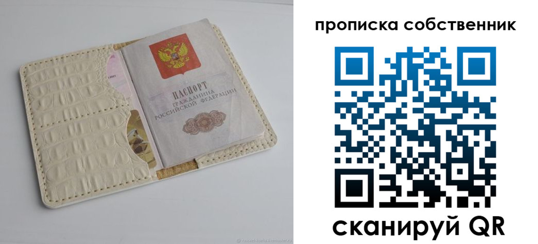 прописка регистрация в Мончегорске